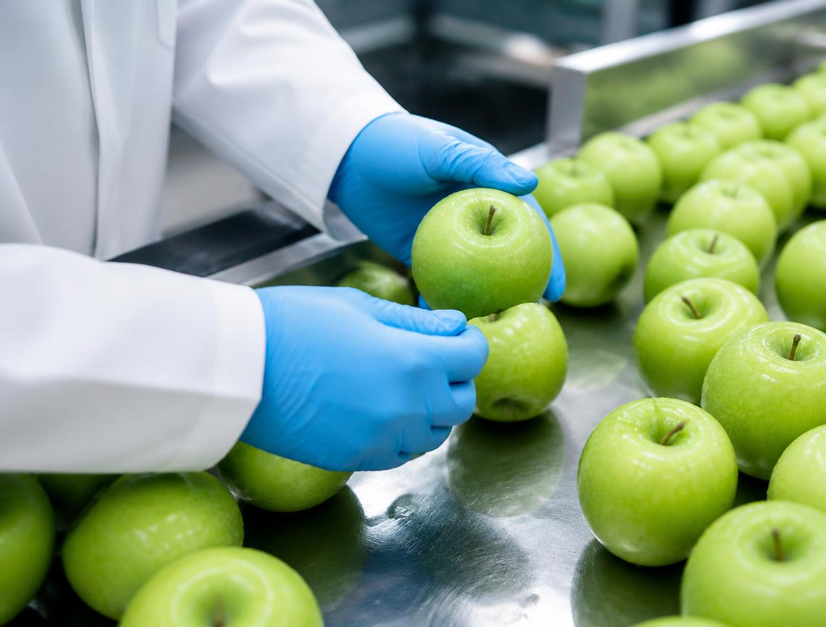 Controle de qualidade das frutas na seleção