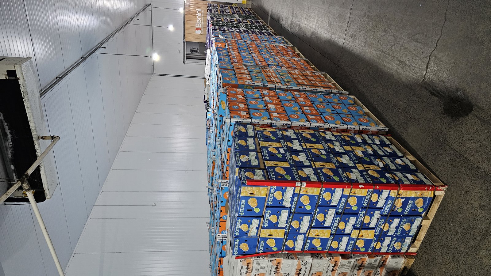 Câmaras frias do armazém Benini com pallets de frutas